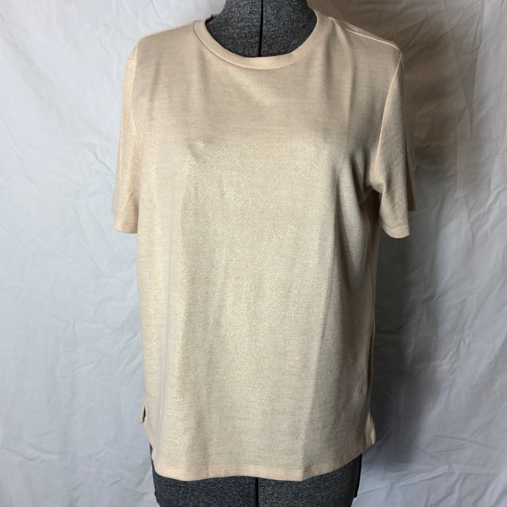 Banana Republic Sparkly Tee (1)